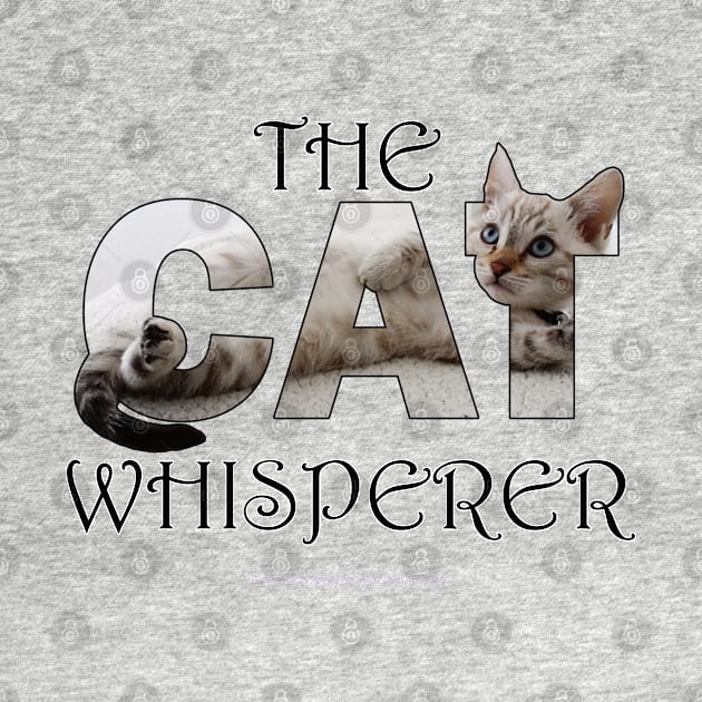 The Cat Whisperer - silver tabby oil painting word art by DawnDesignsWordArt